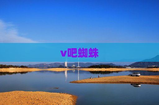 v吧蜘蛛