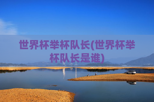 世界杯举杯队长(世界杯举杯队长是谁)