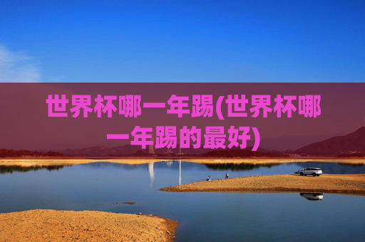 世界杯哪一年踢(世界杯哪一年踢的最好)