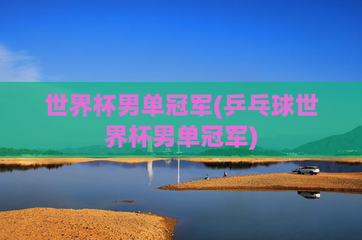 世界杯男单冠军(乒乓球世界杯男单冠军)