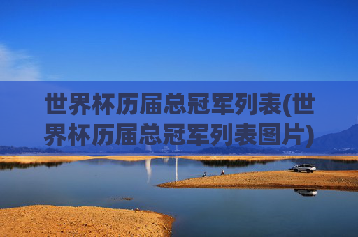 世界杯历届总冠军列表(世界杯历届总冠军列表图片)