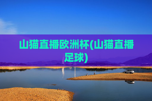 山猫直播欧洲杯(山猫直播足球)