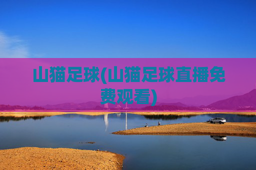 山猫足球(山猫足球直播免费观看)
