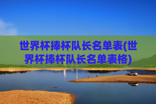 世界杯捧杯队长名单表(世界杯捧杯队长名单表格)