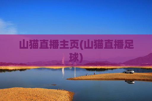 山猫直播主页(山猫直播足球)