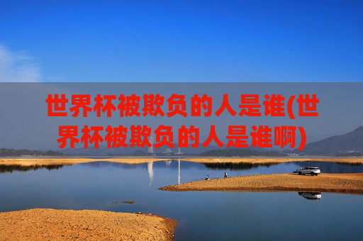 世界杯被欺负的人是谁(世界杯被欺负的人是谁啊)