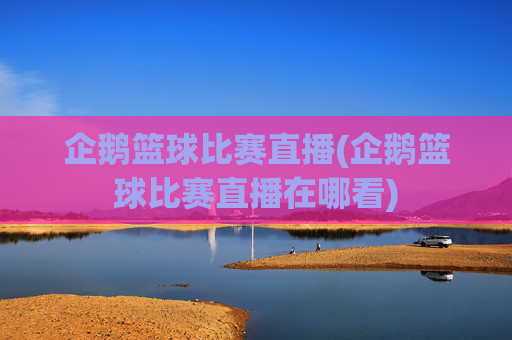 企鹅篮球比赛直播(企鹅篮球比赛直播在哪看)