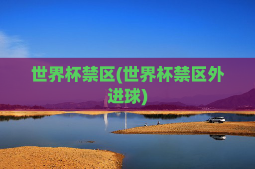 世界杯禁区(世界杯禁区外进球)