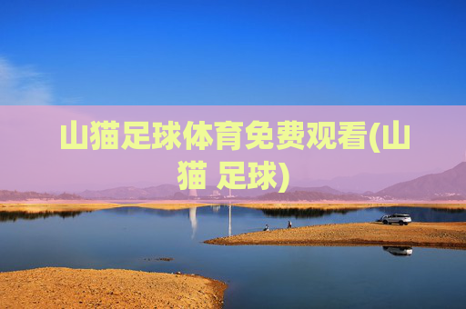山猫足球体育免费观看(山猫 足球)