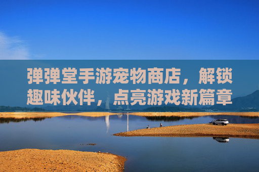 弹弹堂手游宠物商店，解锁趣味伙伴，点亮游戏新篇章