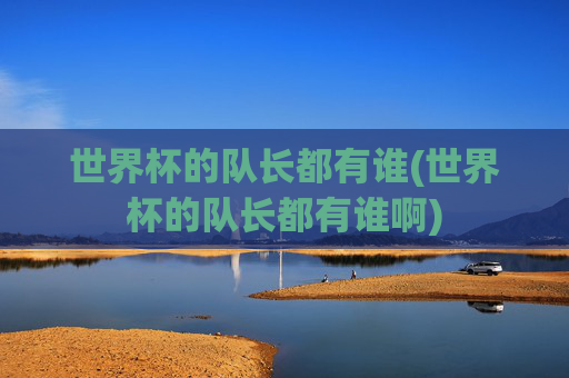 世界杯的队长都有谁(世界杯的队长都有谁啊)