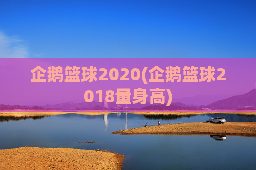 企鹅篮球2020(企鹅篮球2018量身高)