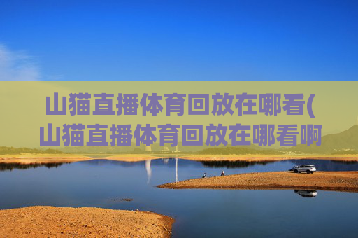 山猫直播体育回放在哪看(山猫直播体育回放在哪看啊)