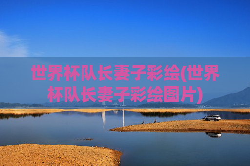 世界杯队长妻子彩绘(世界杯队长妻子彩绘图片)
