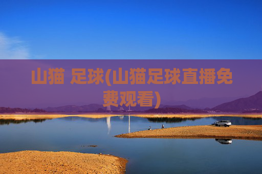 山猫 足球(山猫足球直播免费观看)