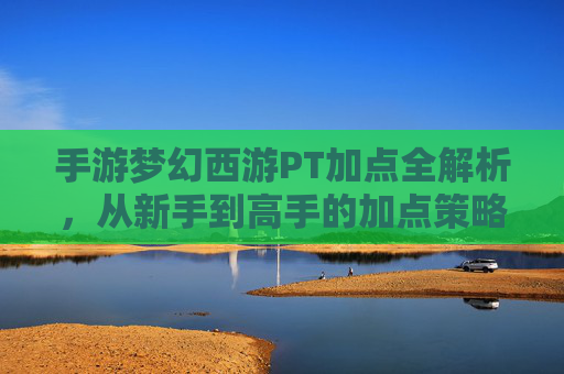 手游梦幻西游PT加点全解析，从新手到高手的加点策略指南，手游梦幻西游PT加点全解析，从新手到高手的加点策略指南