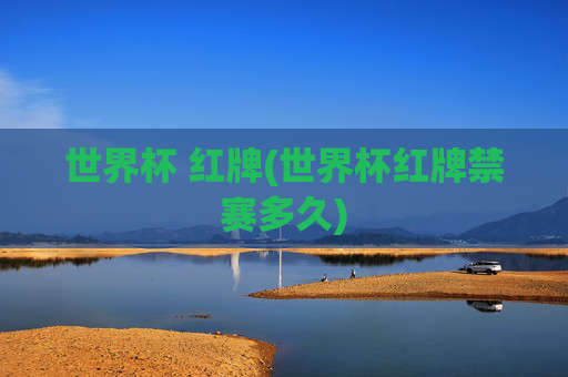 世界杯 红牌(世界杯红牌禁赛多久)