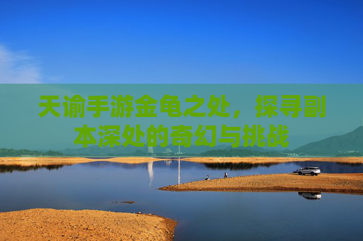 天谕手游金龟之处,探寻副本深处的奇幻与挑战