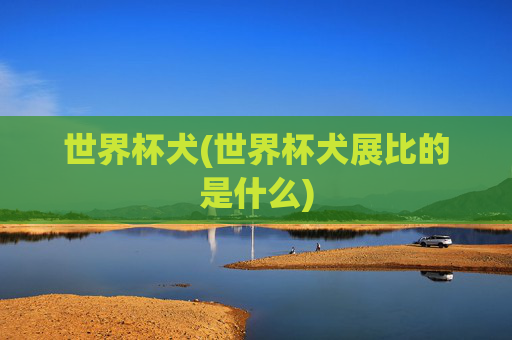 世界杯犬(世界杯犬展比的是什么)