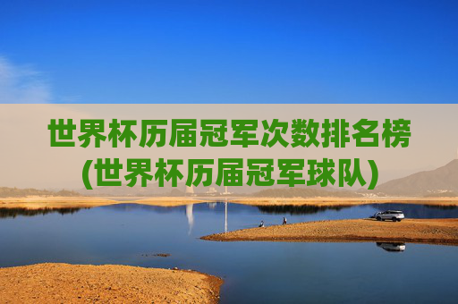 世界杯历届冠军次数排名榜(世界杯历届冠军球队)