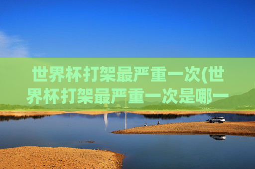 世界杯打架最严重一次(世界杯打架最严重一次是哪一年)