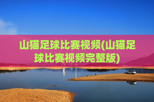 山猫足球比赛视频(山猫足球比赛视频完整版)