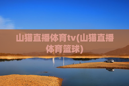 山猫直播体育tv(山猫直播体育篮球)