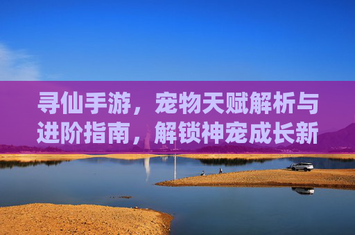 寻仙手游，宠物天赋解析与进阶指南，解锁神宠成长新篇章