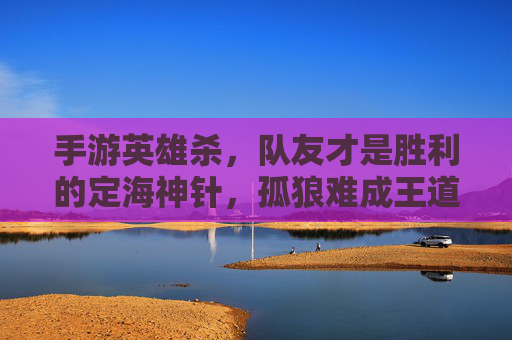 手游英雄杀,队友才是胜利的定海神针,孤狼难成王道,手游英雄杀,队友才是胜利的定海神针,孤狼难成王道