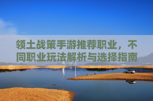 领土战策手游推荐职业，不同职业玩法解析与选择指南，领土战策手游职业推荐，不同职业玩法解析与选择指南