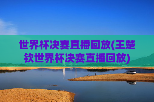 世界杯决赛直播回放(王楚钦世界杯决赛直播回放)
