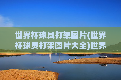 世界杯球员打架图片(世界杯球员打架图片大全)世界杯球员打架图片大全，经典瞬间与完整集锦