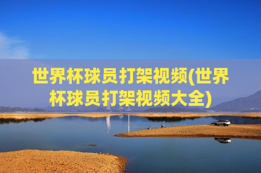 世界杯球员打架视频(世界杯球员打架视频大全)