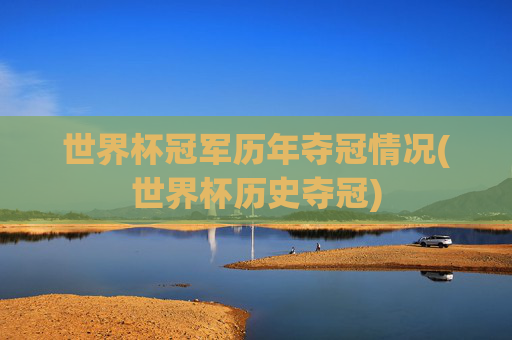 世界杯冠军历年夺冠情况(世界杯历史夺冠)