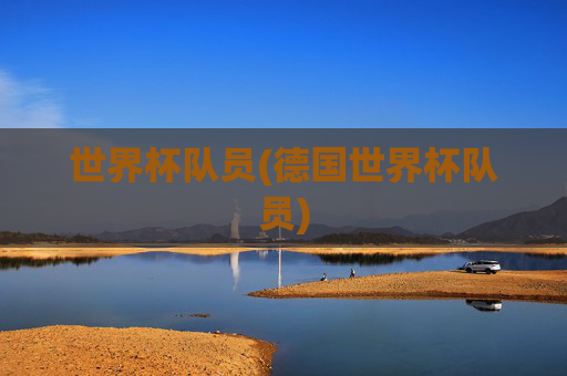 世界杯队员(德国世界杯队员)