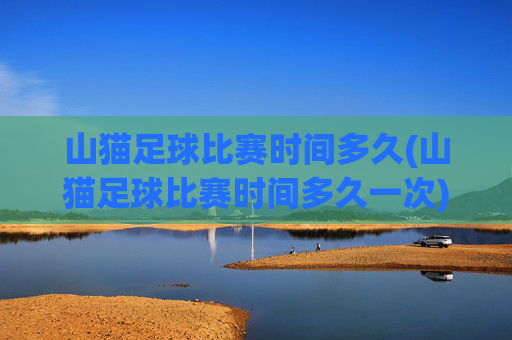 山猫足球比赛时间多久(山猫足球比赛时间多久一次)