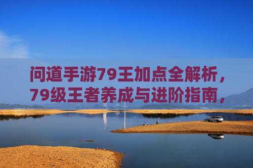 问道手游79王加点全解析，79级王者养成与进阶指南，问道手游79王加点全解析，79级王者养成与进阶指南