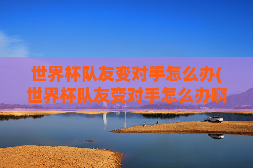 世界杯队友变对手怎么办(世界杯队友变对手怎么办啊)