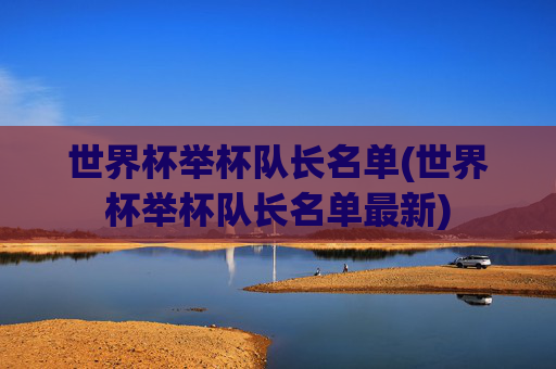 世界杯举杯队长名单(世界杯举杯队长名单最新)