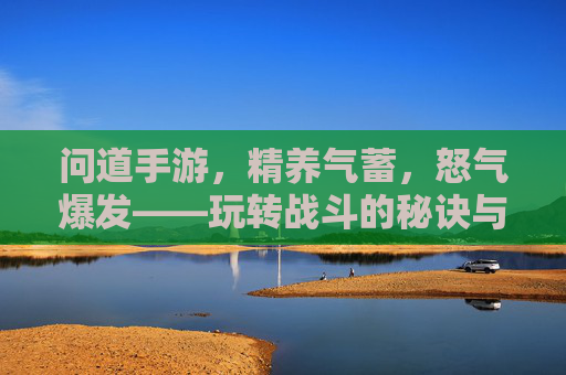 问道手游，精养气蓄，怒气爆发——玩转战斗的秘诀与策略，问道手游，精养气蓄，怒气爆发——玩转战斗的秘诀与策略