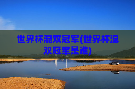 世界杯混双冠军(世界杯混双冠军是谁)