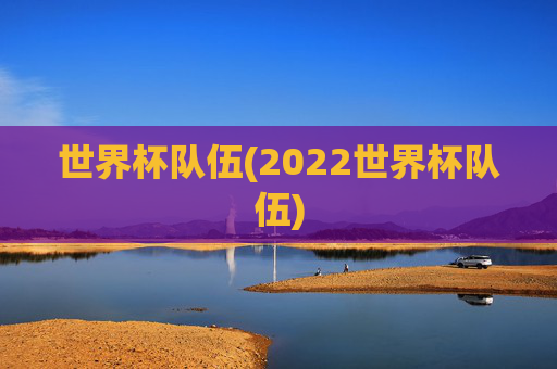 世界杯队伍(2022世界杯队伍)
