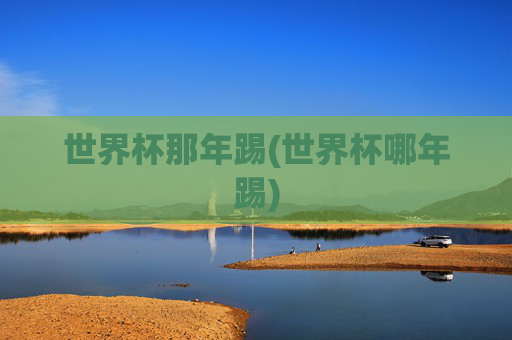 世界杯那年踢(世界杯哪年踢)