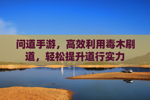 问道手游,高效利用毒木刷道,轻松提升道行实力