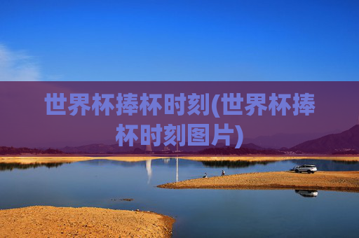 世界杯捧杯时刻(世界杯捧杯时刻图片)