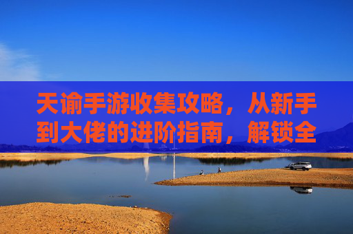 天谕手游收集攻略，从新手到大佬的进阶指南，解锁全服稀有物品的秘诀，天谕手游收集全攻略，从新手到大佬的进阶指南，解锁全服稀有物品的秘籍