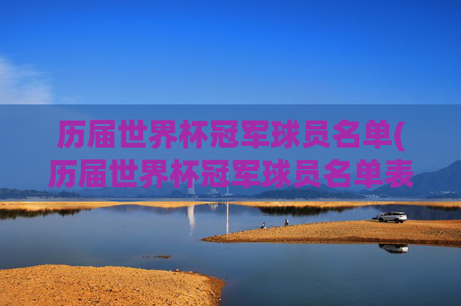 历届世界杯冠军球员名单(历届世界杯冠军球员名单表)