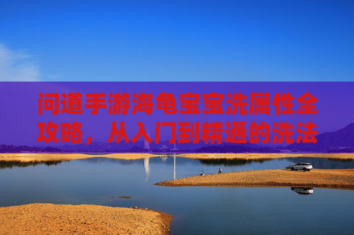问道手游海龟宝宝洗属性全攻略，从入门到精通的洗法技巧，问道手游海龟宝宝洗属性全攻略，从入门到精通的洗法技巧
