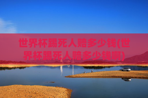 世界杯踢死人赔多少钱(世界杯踢死人赔多少钱啊)