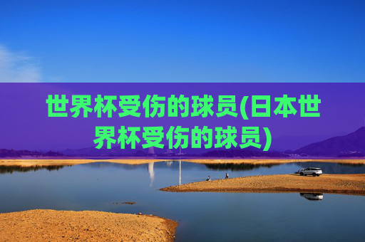 世界杯受伤的球员(日本世界杯受伤的球员)